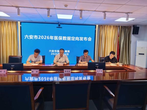 六安市医保局召开2026年医保数据定向发布会