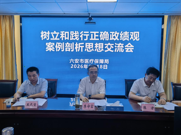 六安市医保局召开领导班子树立和践行正确政绩观学习教育
案例剖析思想交流会